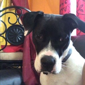 Meet your Posher, Marlen